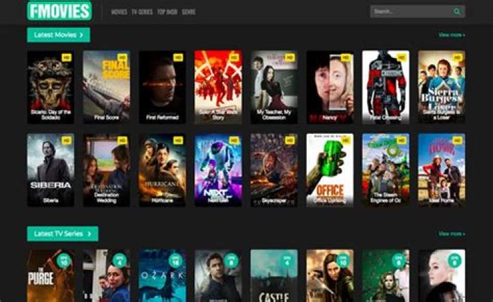 Best Genres for Free Movie Nights on FMovies.to