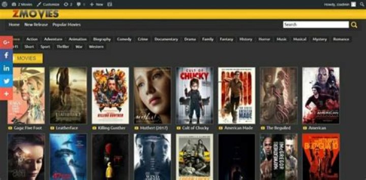 Best Genres for Free Movie Nights on Zmovie
