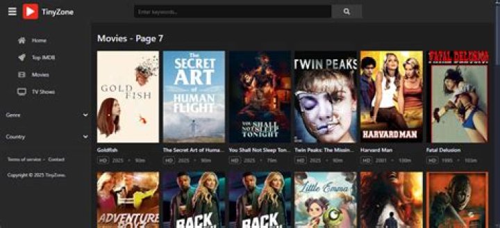 How to Stream Movies for Free on TinyZone.tv Without Ads or Buffering